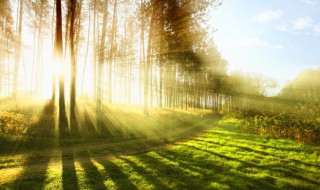 曝晒的意思 曝晒的解释