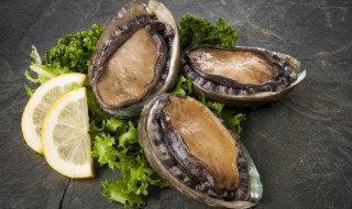 鲍鱼怎么杀和清洗鲍鱼储存方法 鲍鱼清理以及储存方法