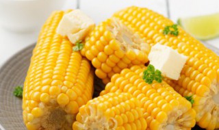 玉米储存方法和注意事项 玉米储存方法和注意事项有哪些