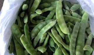 冻豆角储存方法 冻豆角储存方法介绍