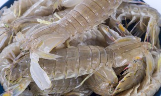 鲜活皮皮虾储存方法 鲜活皮皮虾怎么储存