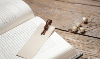 益州疲弊的弊是什么意思 益州疲弊的弊指什么