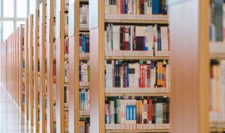 汗牛充栋中充栋是什么意思 汗牛充栋的意思