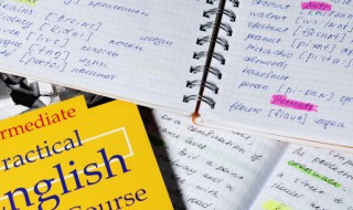 ear怎么读 ear的读法