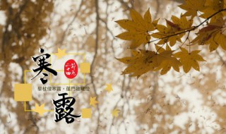 寒露文案 寒露文案有哪些