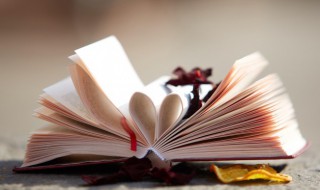 落落清欢是什么意思 落落清欢的解释