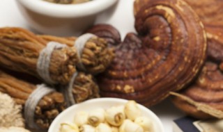 灵芝怎么清洗才能保留孢子粉 灵芝怎么清洗