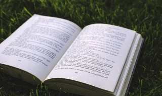 昏鸦什么意思 昏鸦解释