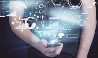 鸽子王什么意思 鸽子王是啥意思