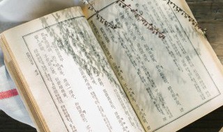 古文中的折是什么意思 古文中的折的意思