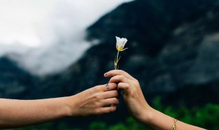 可恶在温暖短文中是什么意思 可恶在温暖短文中是何意思