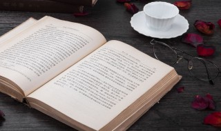 肴核既尽杯盘狼藉意思 肴核既尽杯盘狼藉的解释