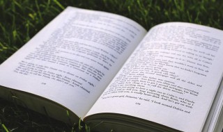 殷红的意思 殷红的解释