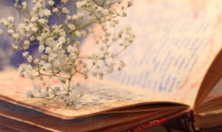 成千上万中的成是什么意思 成千上万的解释