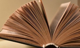 不怕贼偷就怕贼惦记是什么意思 不怕贼偷就怕贼惦记的出处