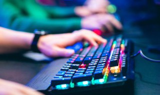 妄想山海果蔬炖肉怎么做 妄想山海果蔬炖如何做