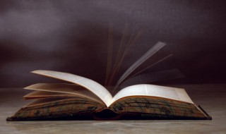 上行文和下行文的区别是什么 上行文和下行文的区别用哪些