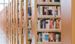 马组词 马组词有哪些