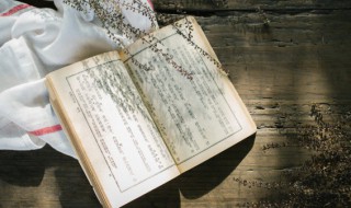 山行别的意思 山行的解释