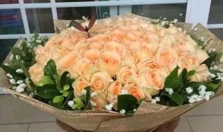 香槟玫瑰的寓意 香槟玫瑰的寓意介绍