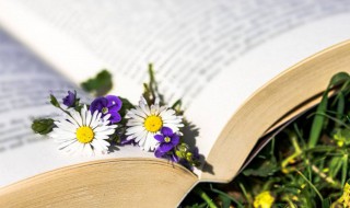 云霄的意思 云霄的解释