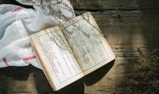 山涧是什么意思整个词语的意思 山涧解释