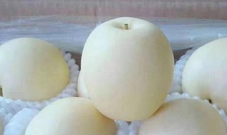 红香酥储存方法 红香酥怎么储存