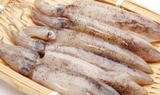 清蒸鱿鱼的做法 清蒸鱿鱼的做法步骤