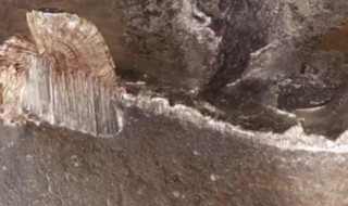 什么是积屑瘤 积屑瘤简单介绍