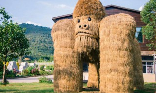 草垛是什么意思 草垛意思是什么