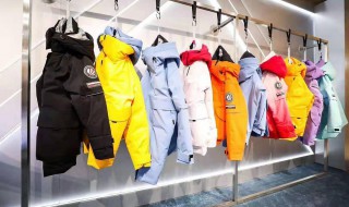 陈列是什么意思 陈列指什么