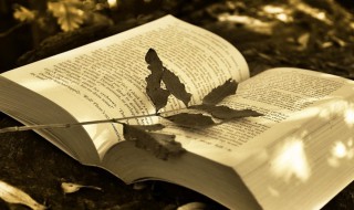 打盹的意思 打盹的解释