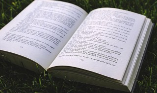 宣组词 宣怎么组词