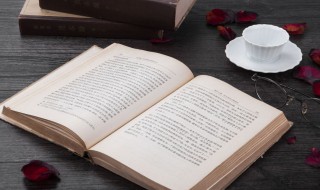 奈组词 奈怎么组词