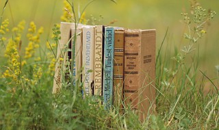 沸组词 沸如何组词