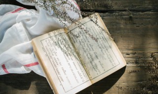 鬓毛衰什么意思 鬓毛衰意思是什么