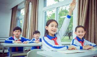 什么是三角形的铅垂高? 三角形的铅垂高怎么找