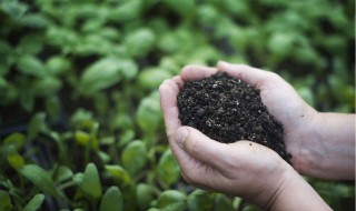 堆肥的储存方法 堆肥怎么储存