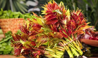 香椿长时间储存方法 香椿怎么长时间储存