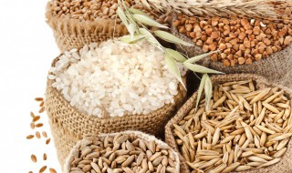 稻谷整袋储存方法 稻谷整袋储存的方法