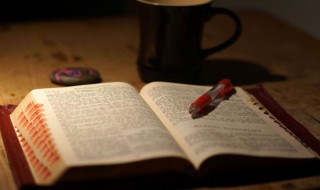 洒落的意思 洒落的解释