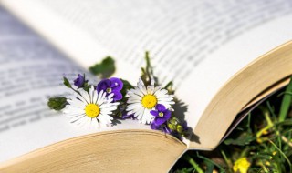 五体投地啥意思 五体投地解释