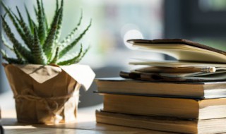 弹丸之地什么意思 弹丸之地的释义