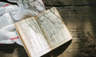 什么是科普小品文? 科普小品文的解释