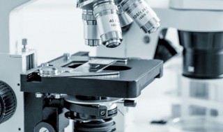 棱镜的拼音 棱镜的读音和解释