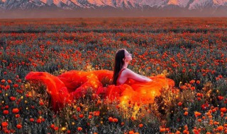 凡花无界花似锦留待春来赏花人是什么意思 花无界花似锦留待春来赏花人意思是什么