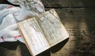 梯组词 梯组词及解释