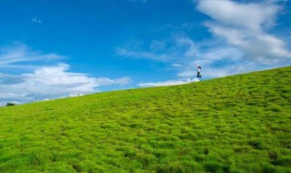 绿草如茵的绿的意思是 绿草如茵意思介绍