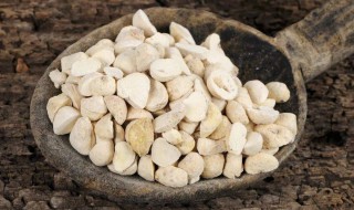 半夏的储存方法 半夏怎样储存