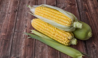 临时储存玉米什么方法好 怎么储存玉米